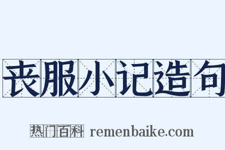 丧服小记造句是什么意思的图片